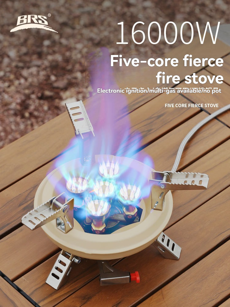 BRS-201A Portable Camping Gas  - Camping Cooking Propane recension och pris