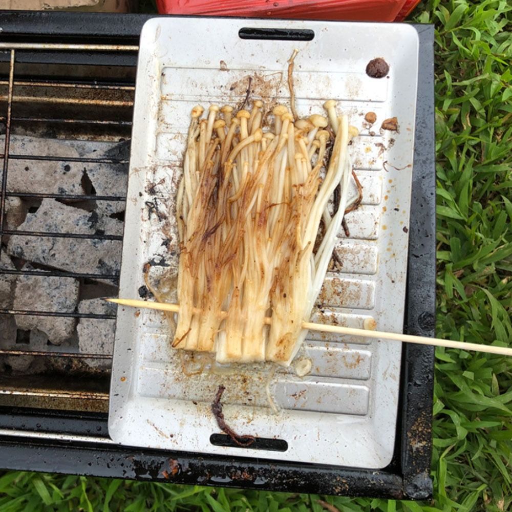 Durable Titanium Camping Grill - Camping Cooking Griddle recension och pris